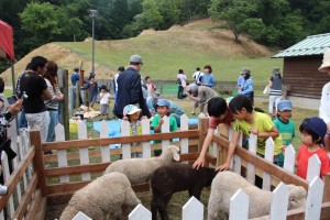 27年度羊の毛刈り体験会IMG_1710