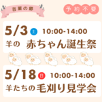 <span class="title">「羊の赤ちゃん誕生祭」「羊たちの毛刈り見学会」開催について</span>